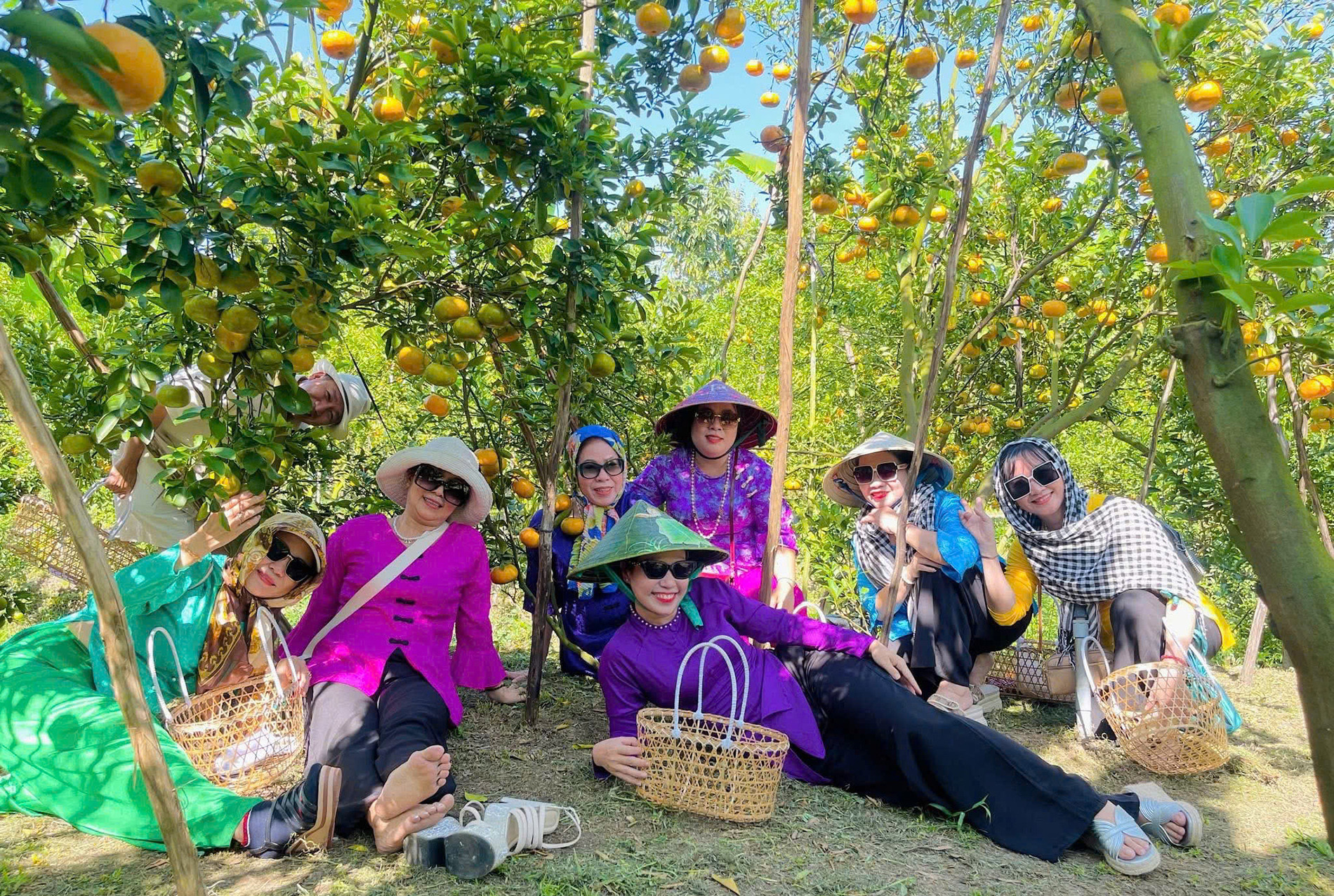 Quýt Hồng 2.jpg