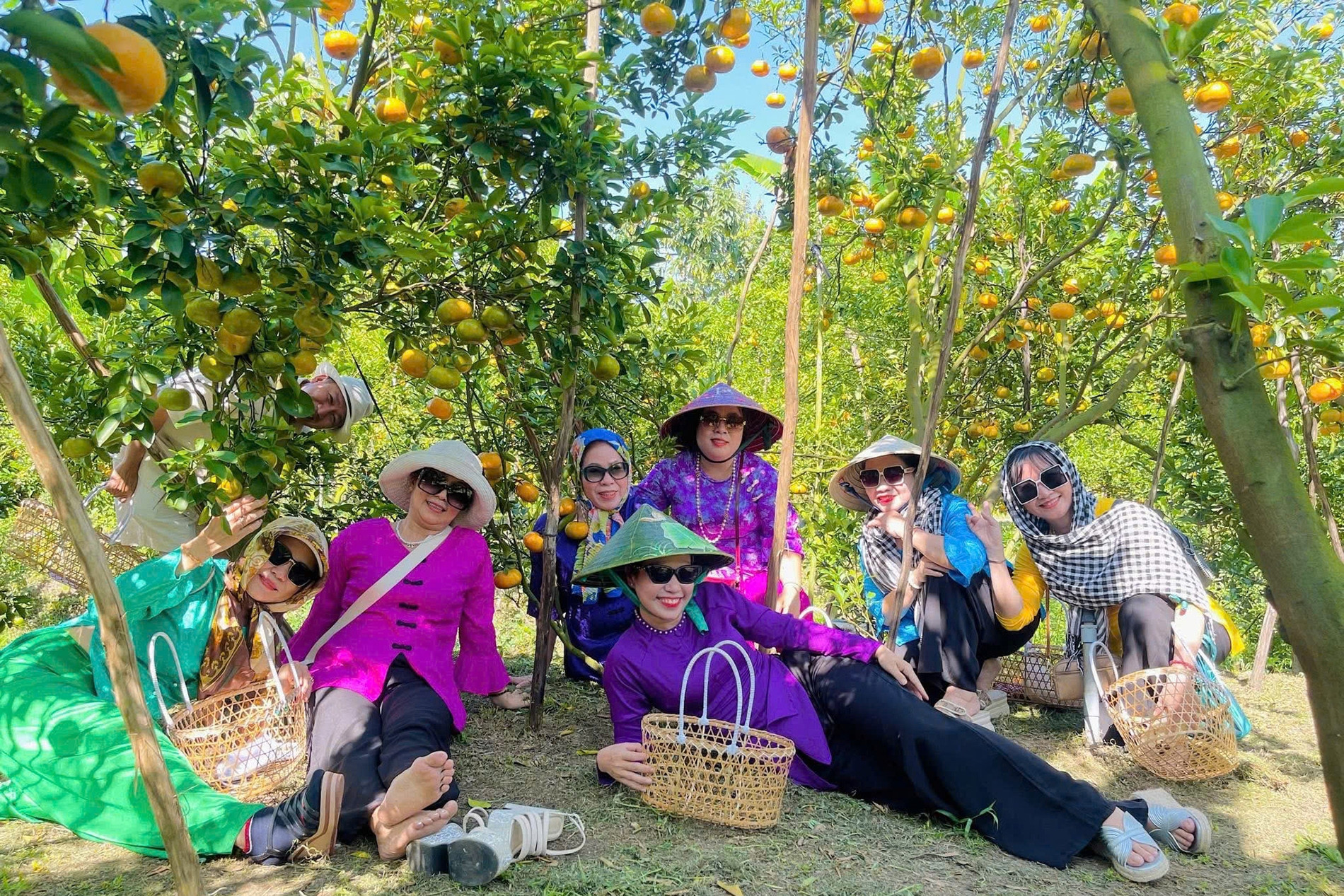 'Vương quốc quýt hồng' miền Tây rực sắc vàng cam, khách đổ về nườm nượp