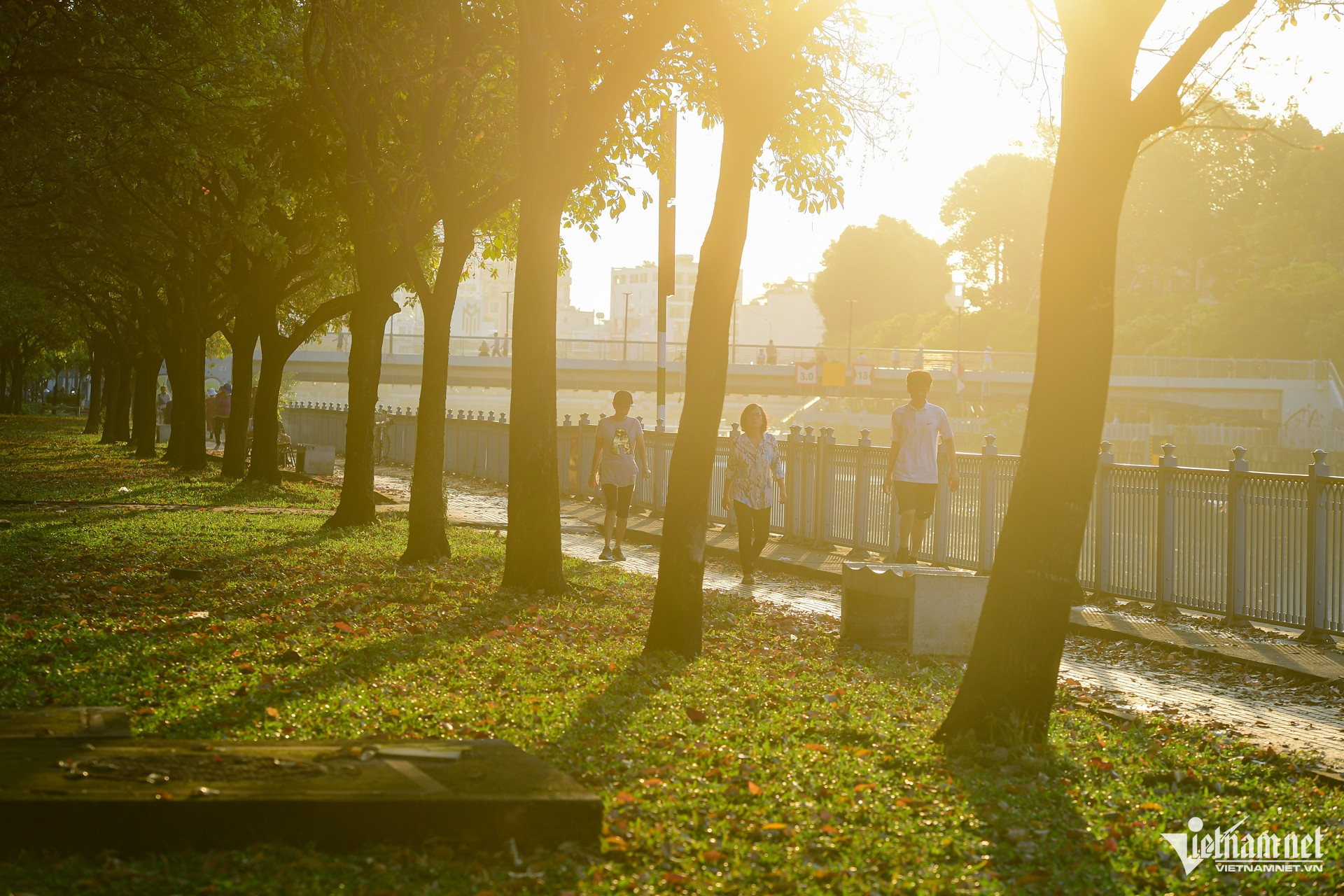 W-đường phố TPHCM 2.jpg