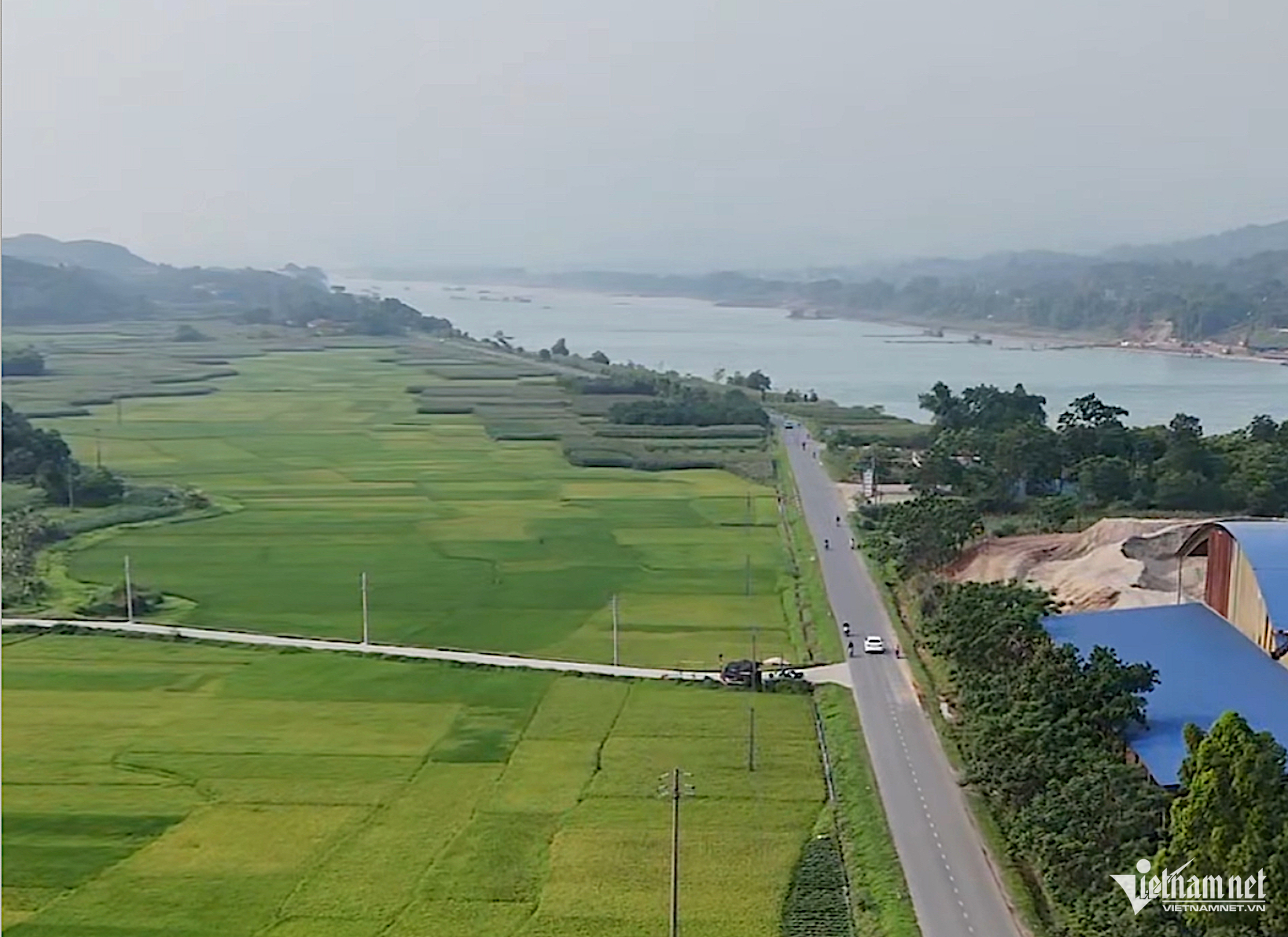 W-thương mại xanh.png