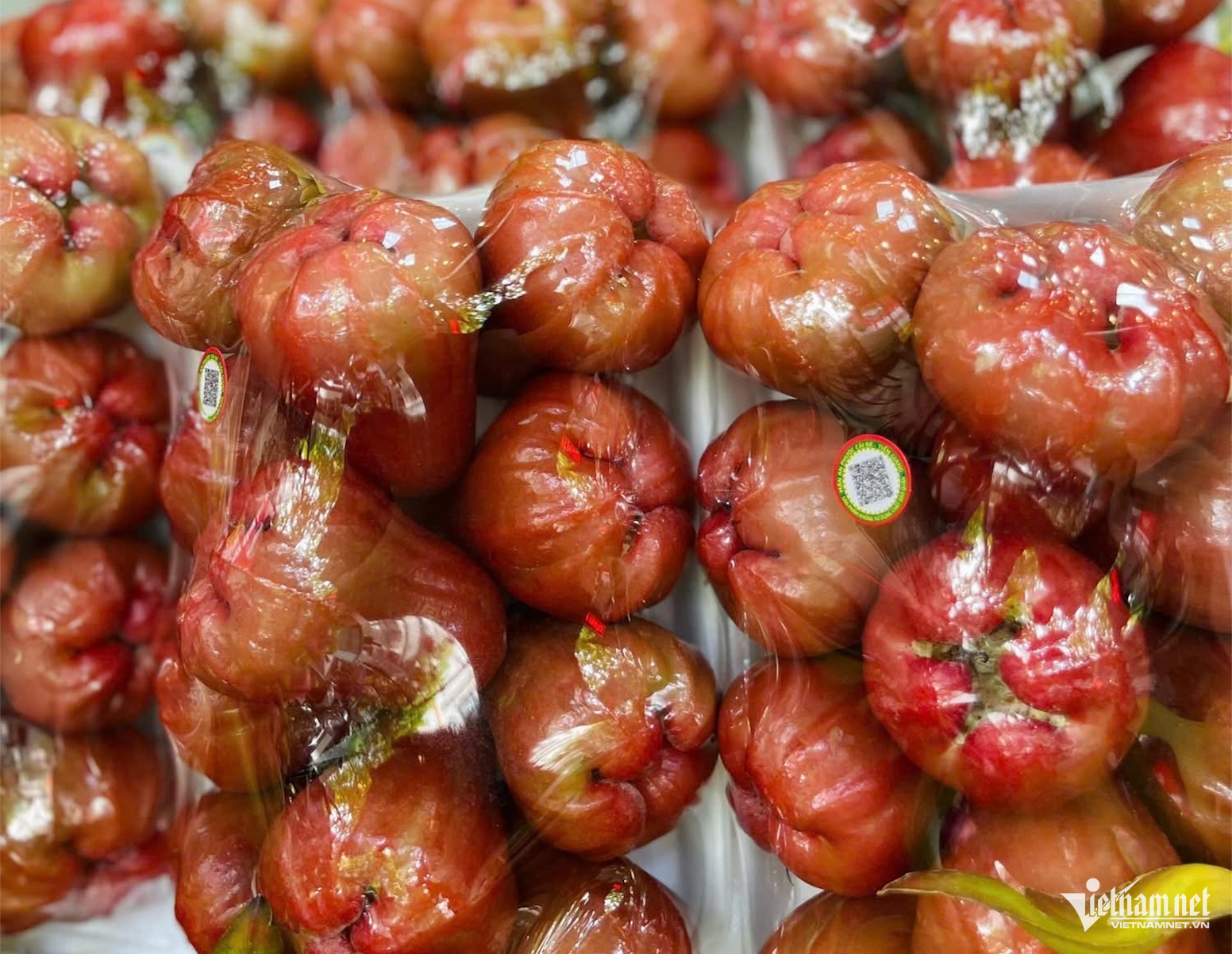 W-XK nông sản.png