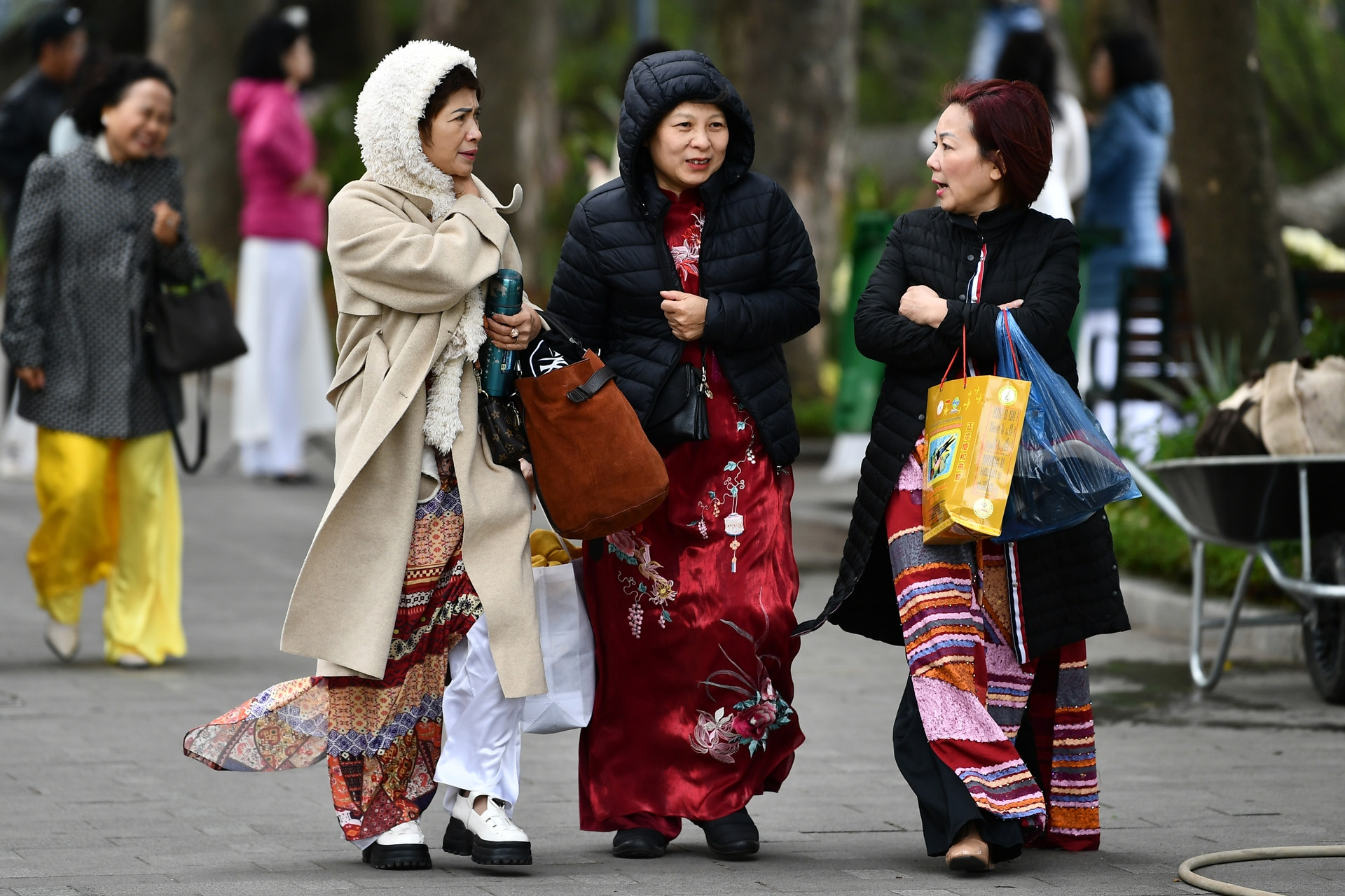 Dự báo thời tiết 11/1/2026: Cả nước có nắng, miền Bắc rét nhất dưới 5 độ