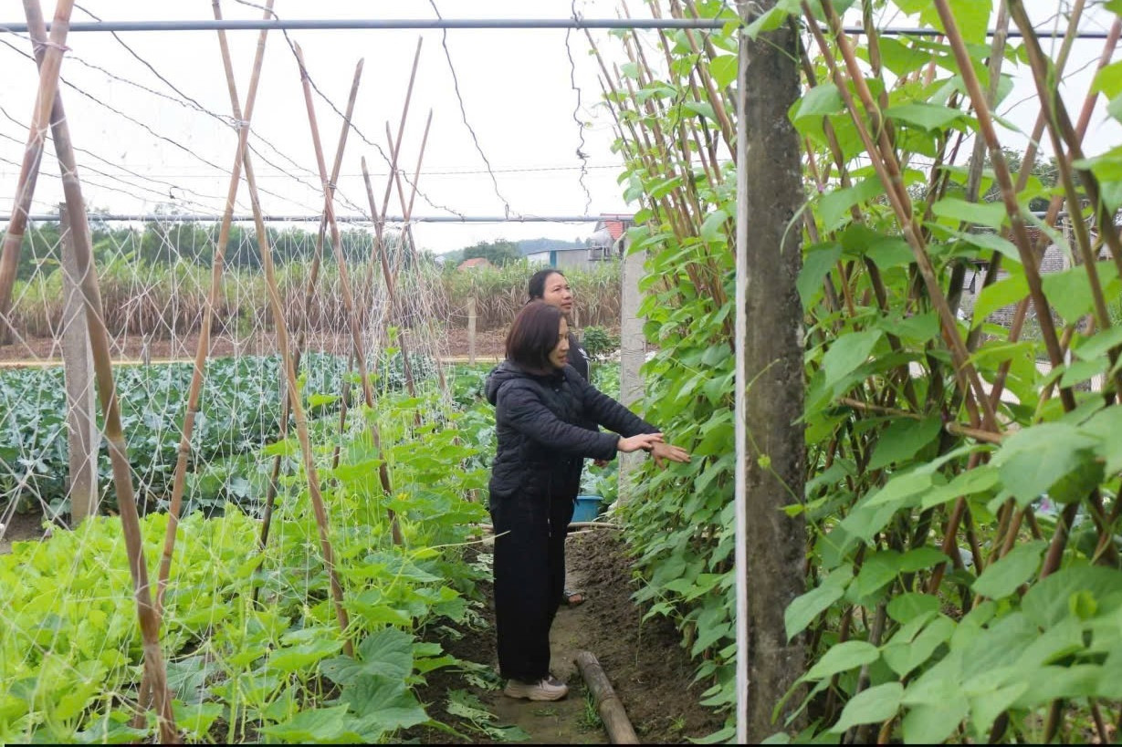 Hội Nông dân Lai Châu giúp nông dân làm giàu và xây dựng nông thôn mới