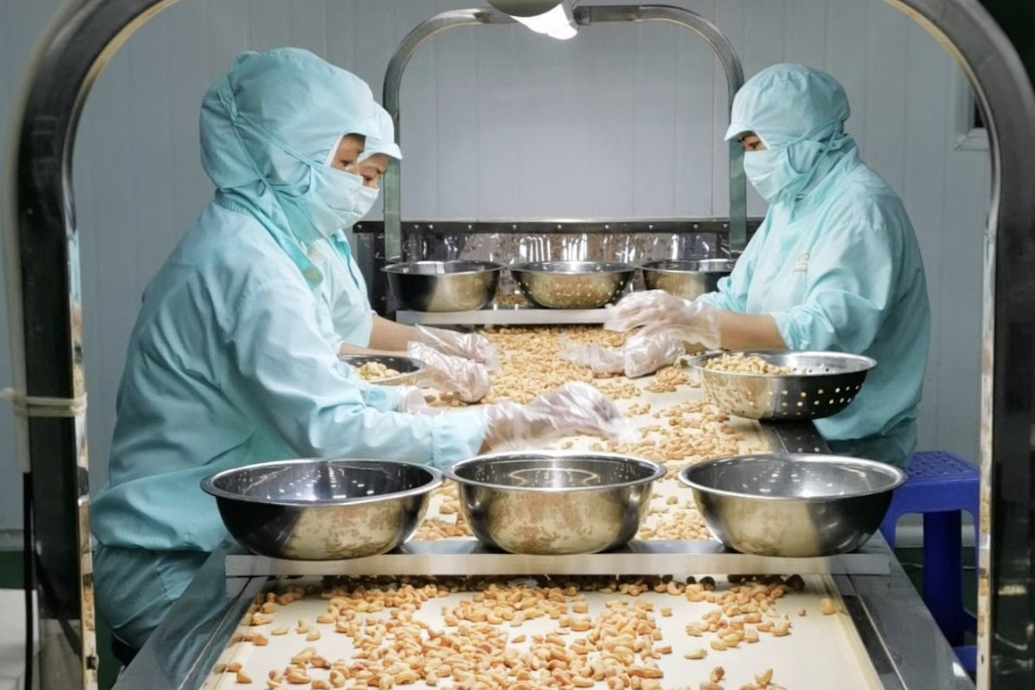 Nhập khẩu hạt điều lập kỷ lục, ngành hàng tỷ USD thành xưởng gia công cho châu Phi