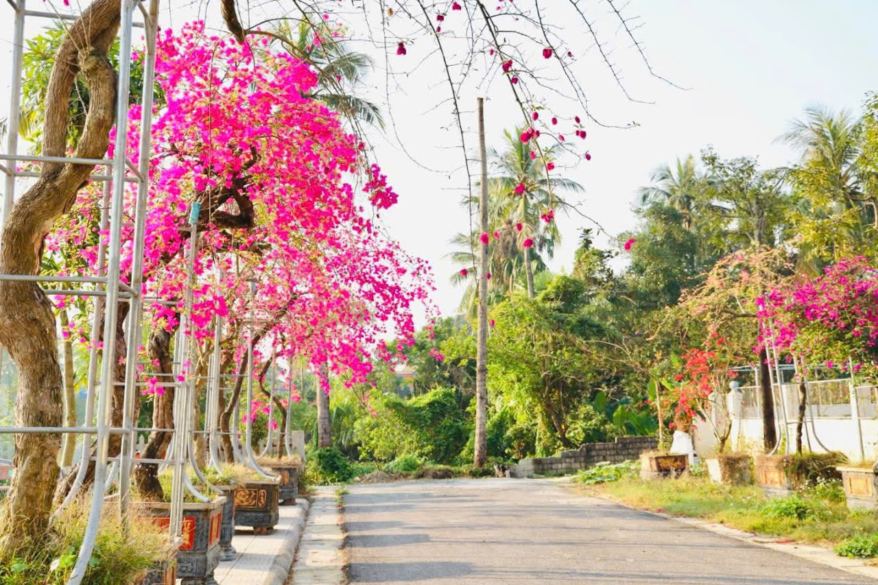 Quảng Ninh: Nông thôn mới chuyển mình mạnh mẽ từ sức mạnh đại đoàn kết