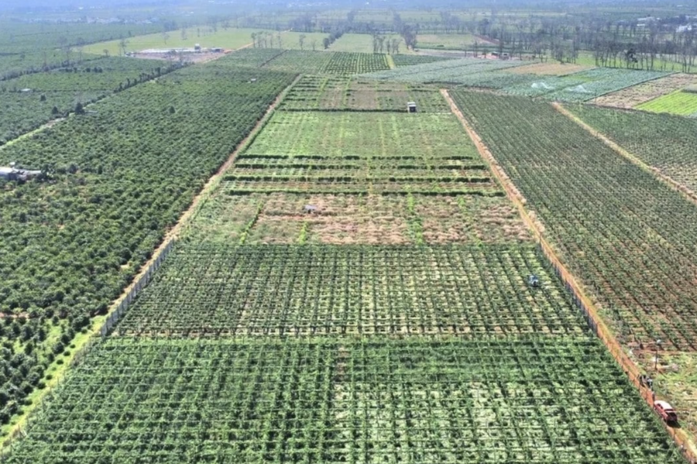 Quảng Trị chuẩn hóa mã số vùng trồng, nâng cao chất lượng nông sản