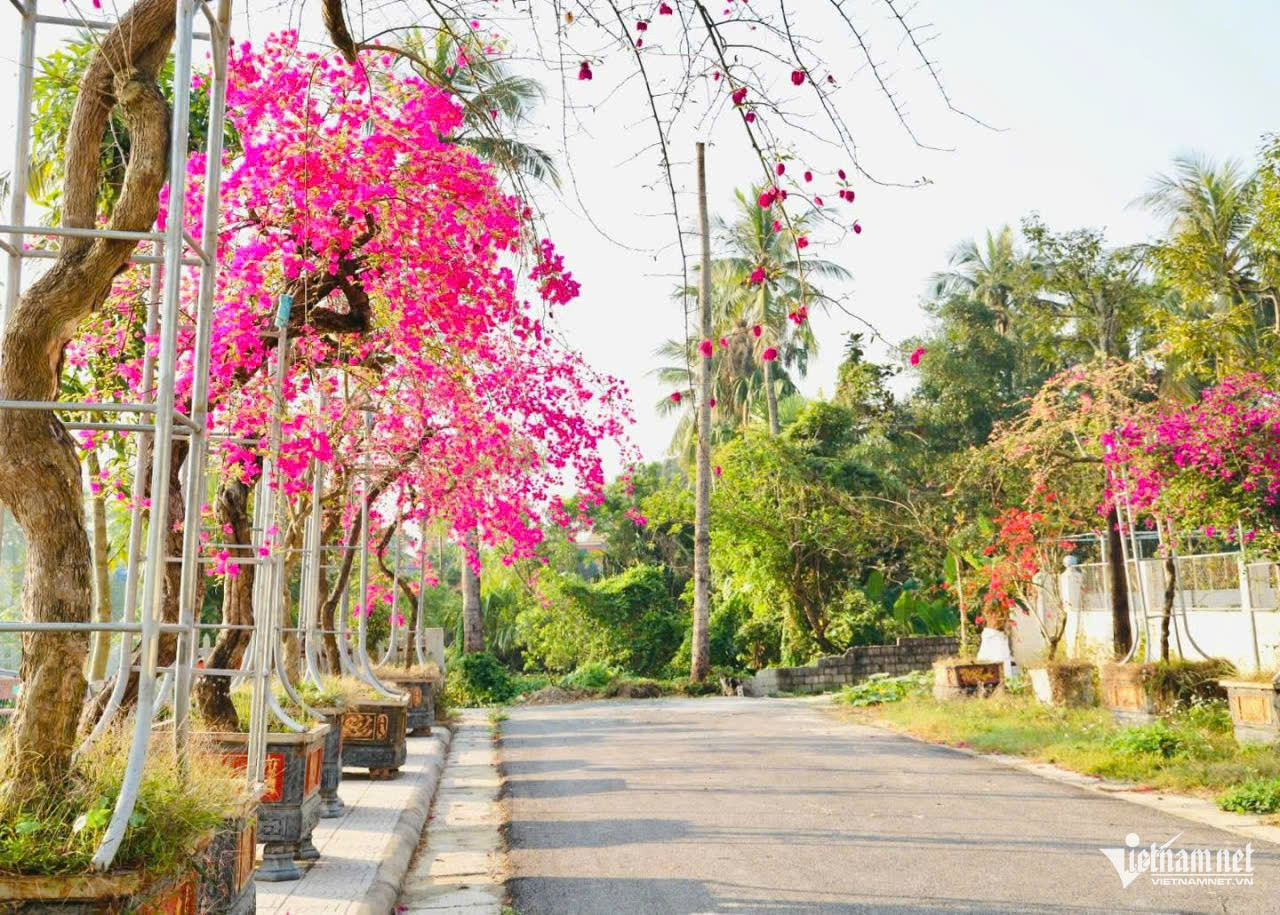 W-anh tinnquang ninh.jpg