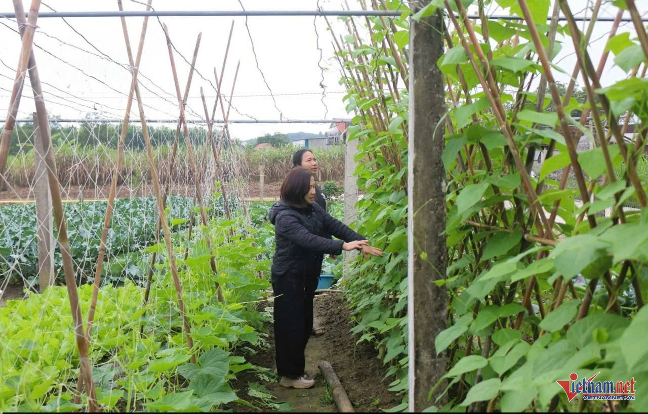 W-anhhtin 17 lai chau.jpg