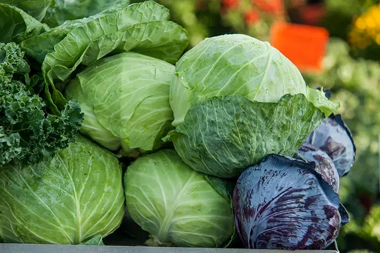 5 loại rau củ có sẵn vào mùa đông, giàu chất xơ, tốt cho đường ruột