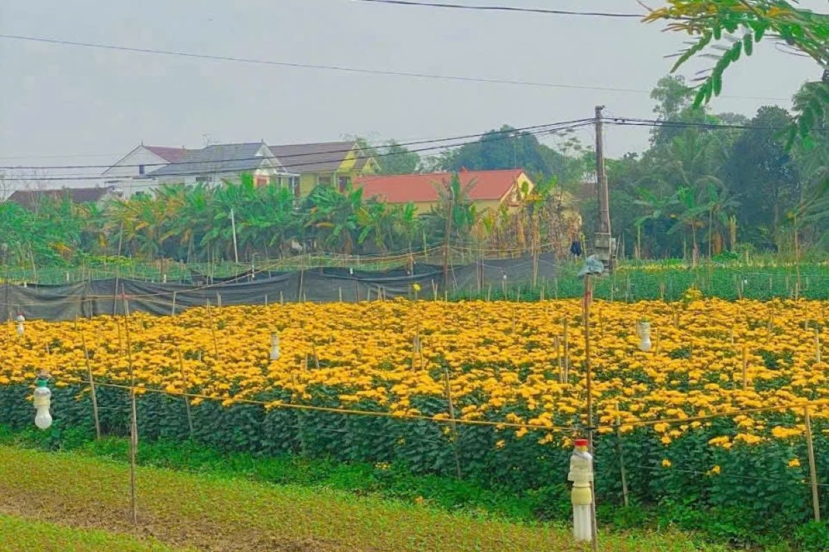 Chuyển đổi số - “Chìa khóa” giúp xã Phúc Thịnh xây dựng nông thôn mới kiểu mẫu