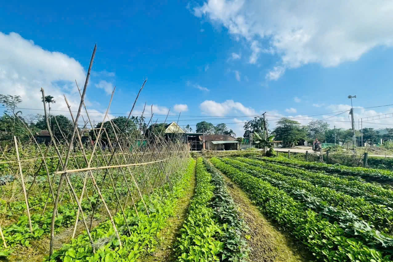 Khun Há: Khơi dậy sức dân trong hành trình xây dựng nông thôn mới