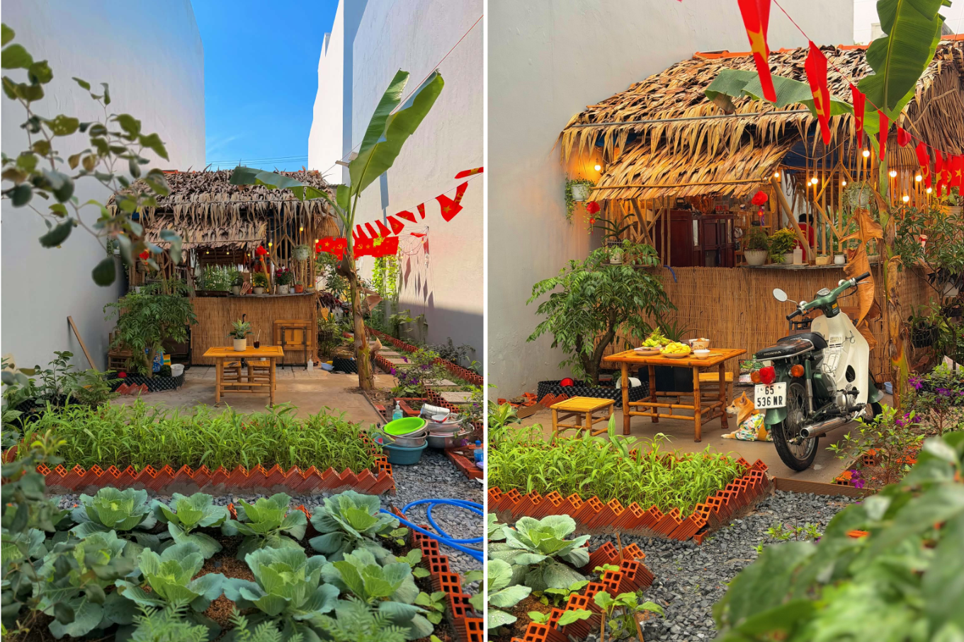 Hai chàng trai thuê đất 10 triệu/năm, dựng chòi lá đẹp lạ giữa lòng phố