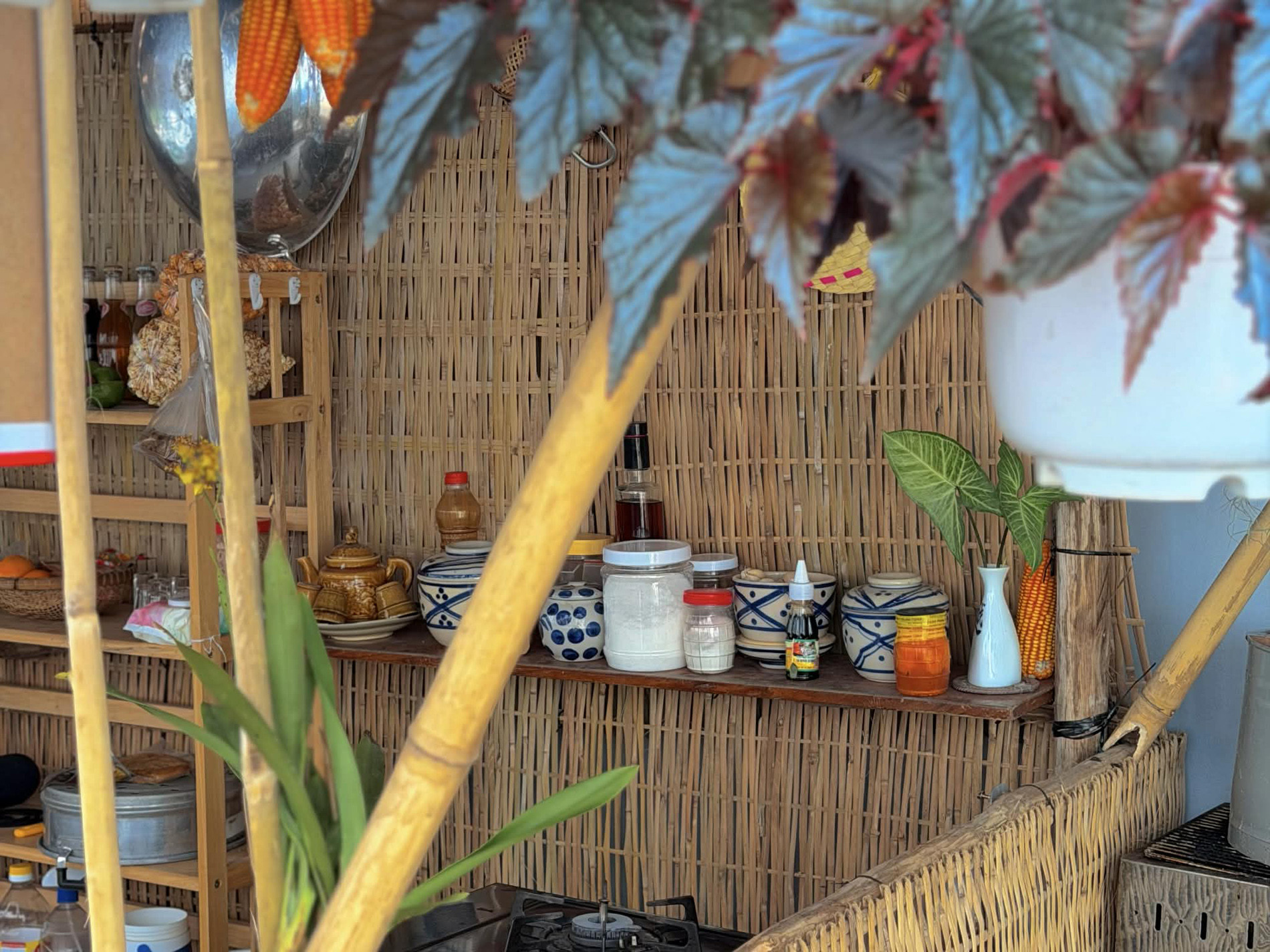 nhà vườn nhỏ ở Cần Thơ 1.jpg