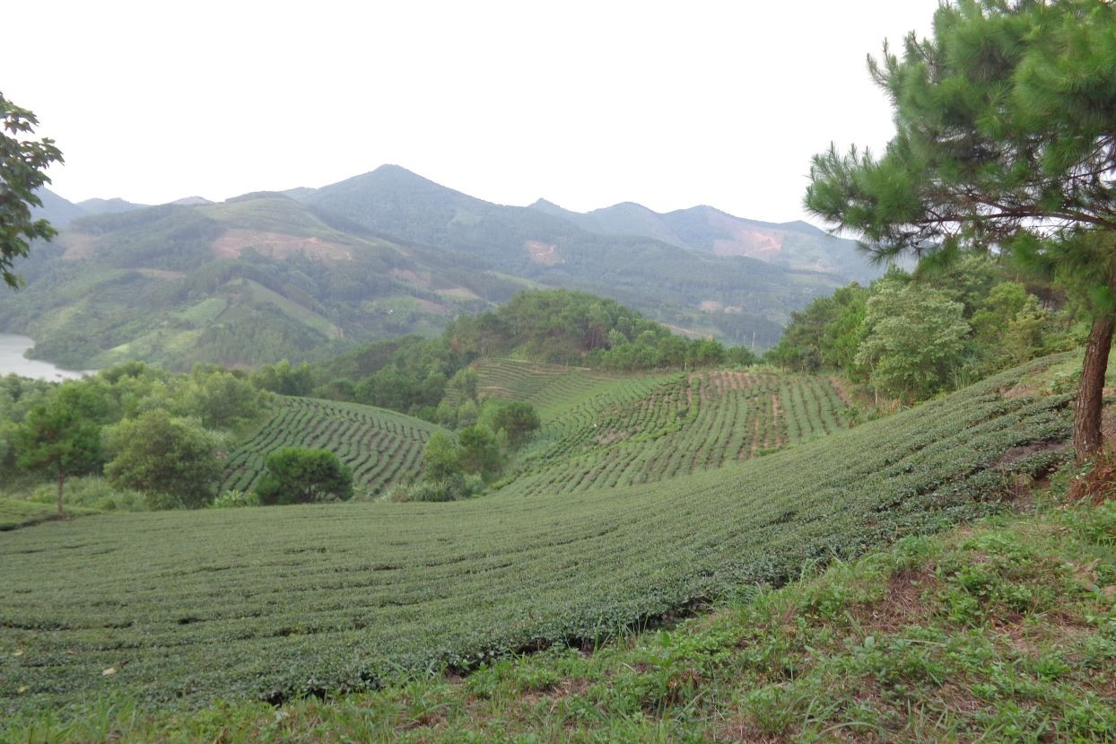 Nông thôn mới ở Tuyên Quang: Khi người dân thực sự là chủ thể
