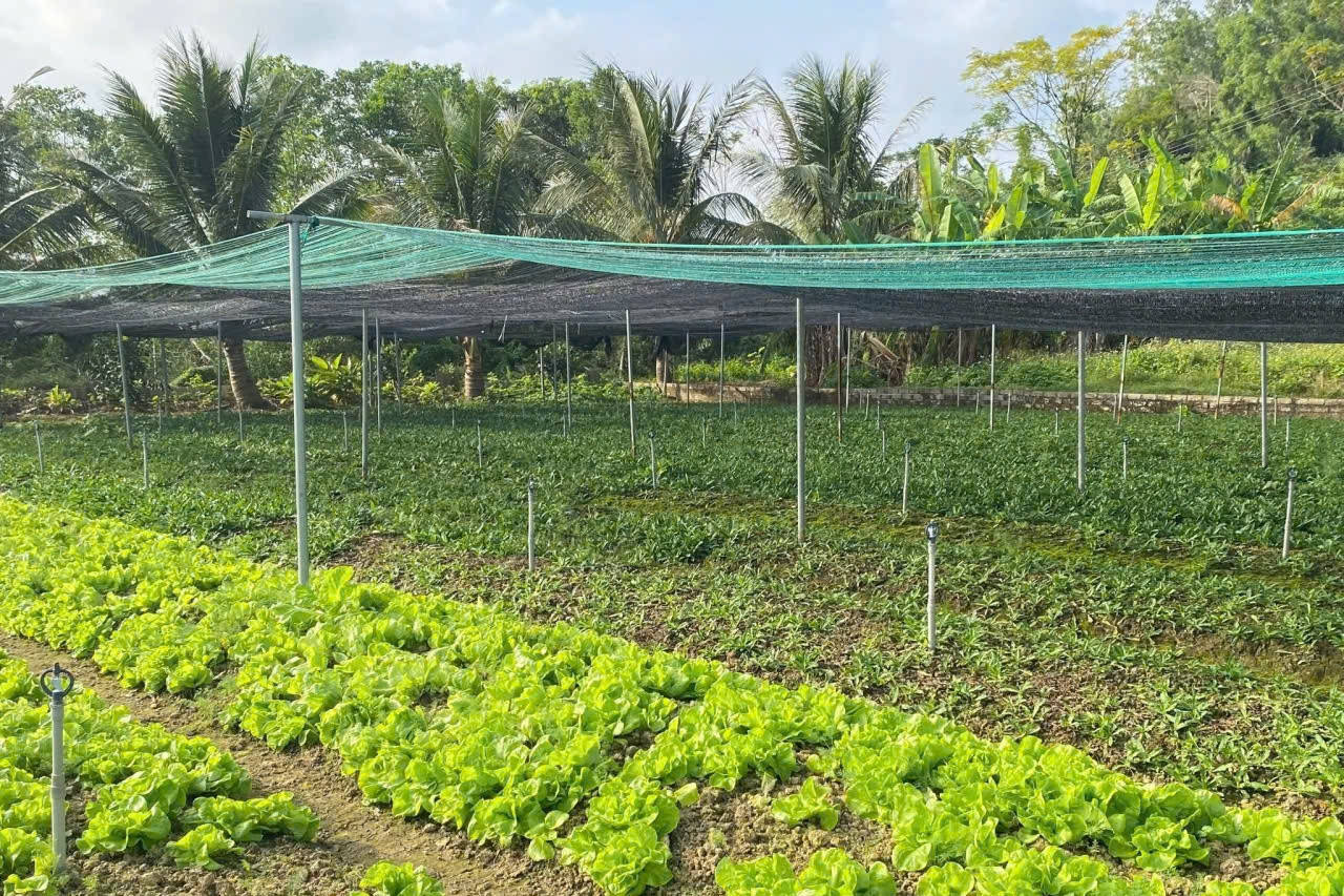 Thanh Hóa tiếp tục đẩy mạnh nông nghiệp công nghệ cao gắn với nông thôn mới