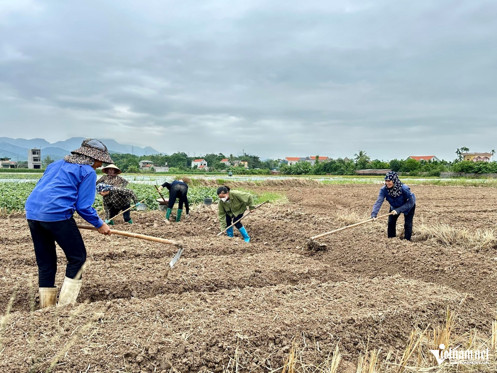 W-36. Người dân nông thôn.jpg