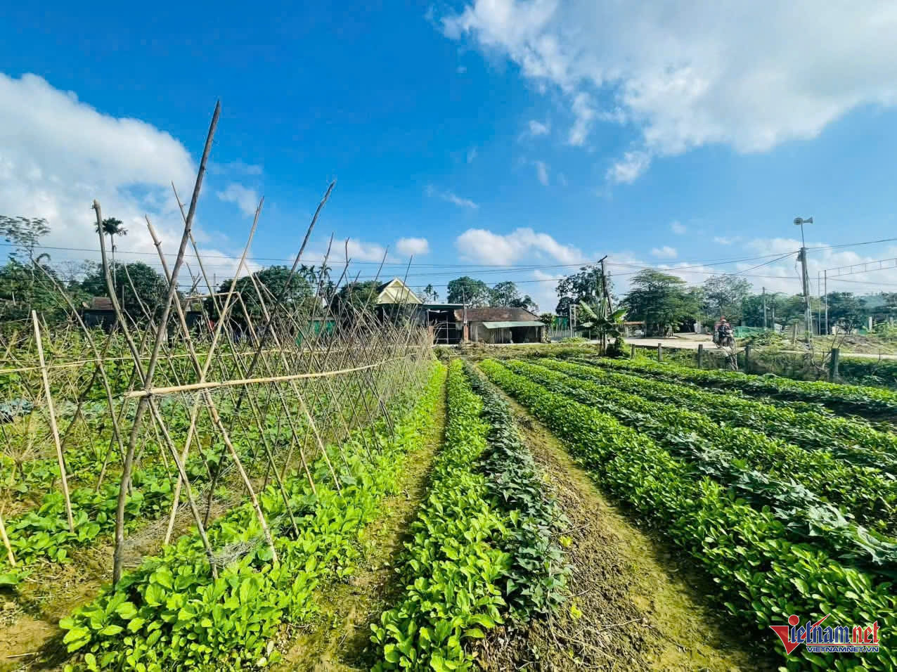 W-anhhtin khun ha.jpg