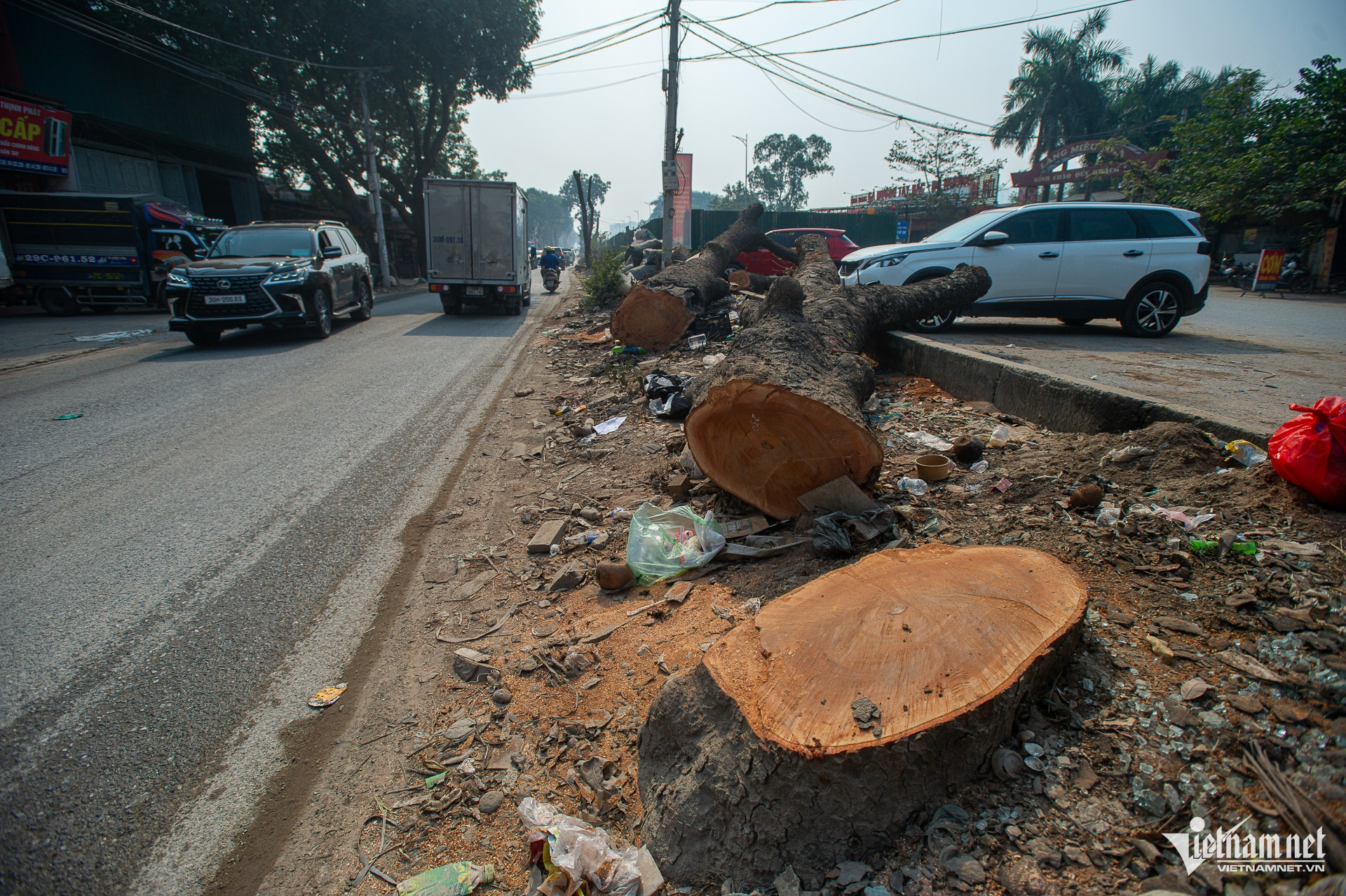 W-Chatcayxacu_duong70_taymo_cayxanh (11).jpg