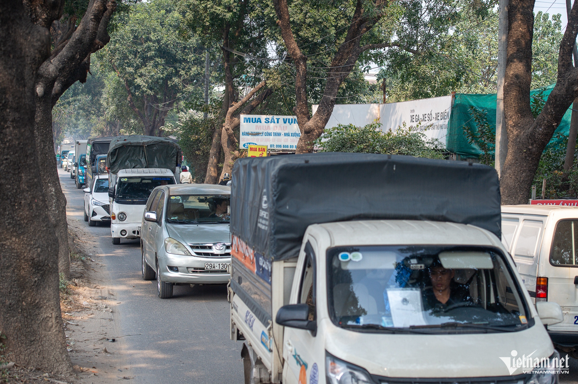 W-Chatcayxacu_duong70_taymo_cayxanh (20).jpg