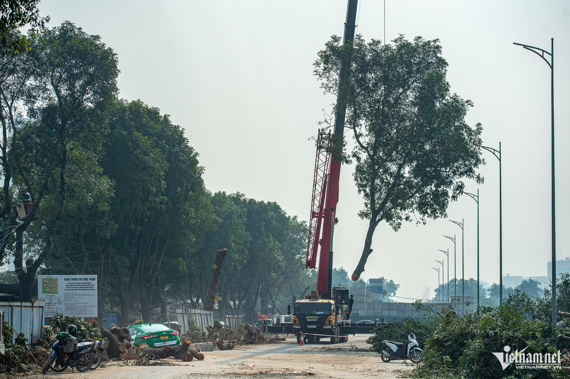 W-Chatcayxacu_duong70_taymo_cayxanh (24).jpg