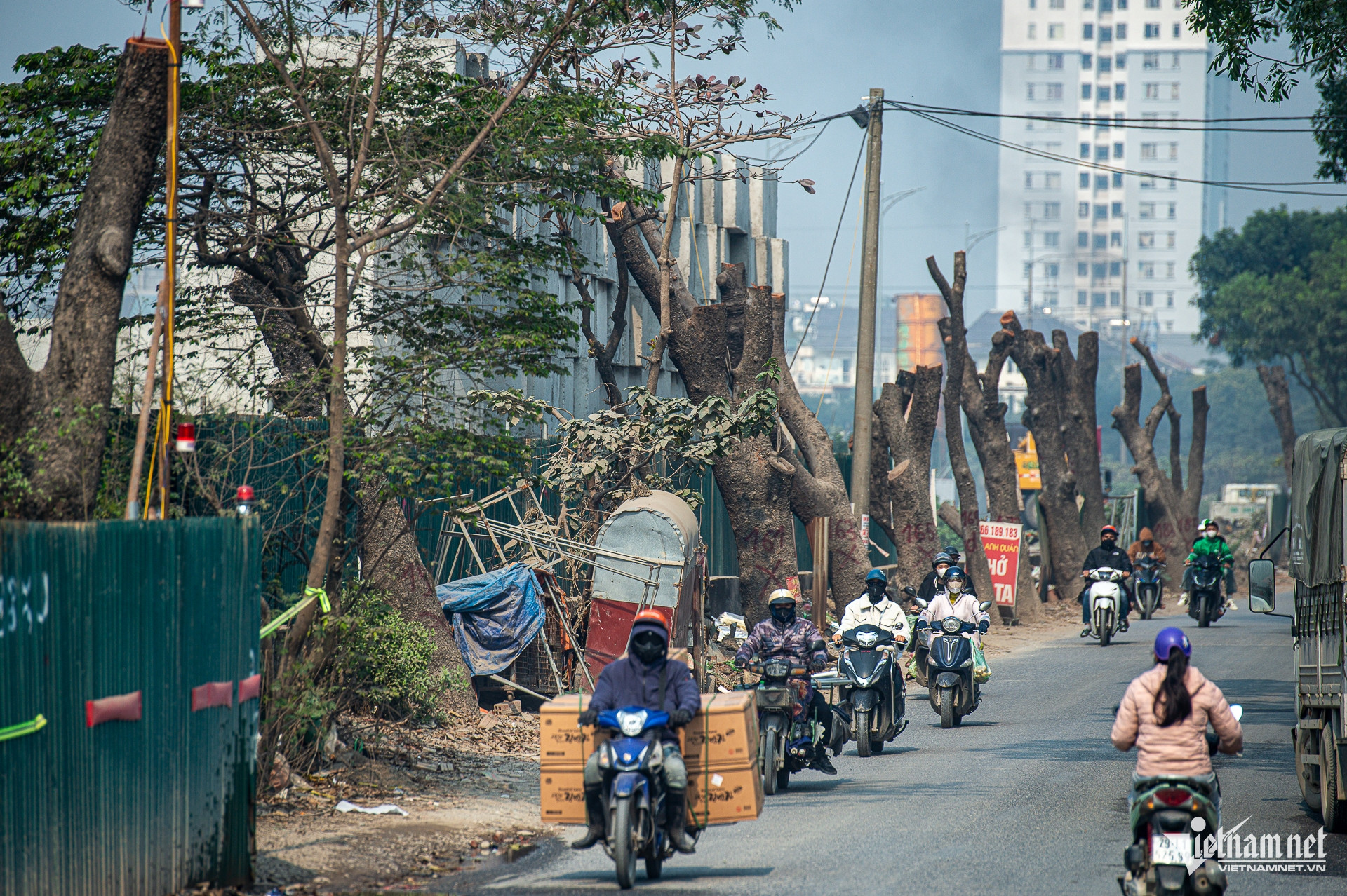 W-Chatcayxacu_duong70_taymo_cayxanh (6).jpg