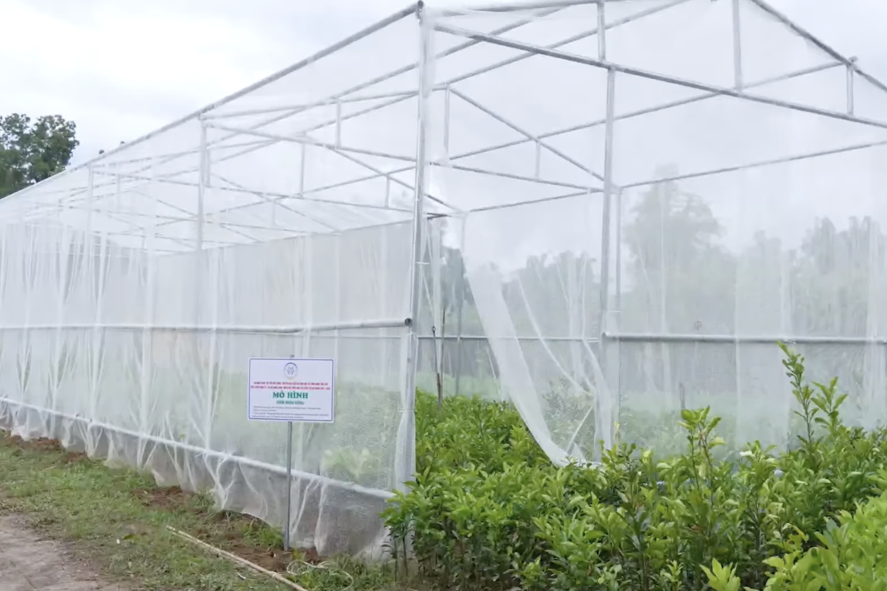 Hải Phòng dùng dữ liệu số dẫn dắt sản xuất, tiêu thụ nông sản