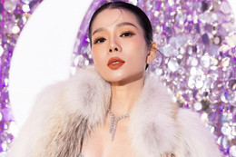 Luật sư lên tiếng về loạt phát ngôn thô tục của ca sĩ Lệ Quyên