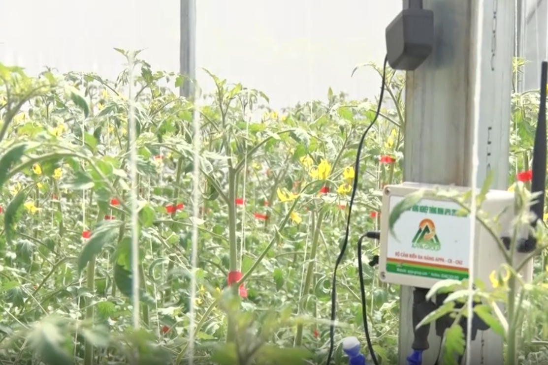 Sơn La đẩy mạnh công nghệ thông tin theo dõi môi trường nông nghiệp