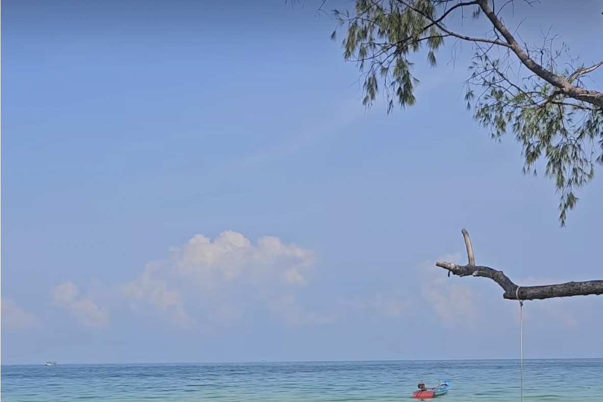 Việt Nam thúc đẩy thực thi hiệu quả hiệp định về đa dạng sinh học biển