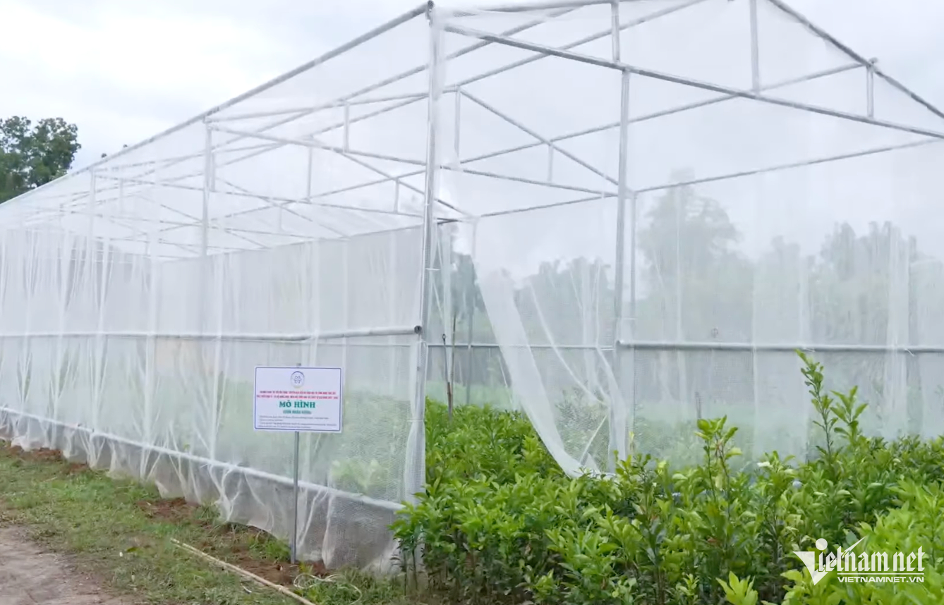 W-Hải phòng nông sản.png