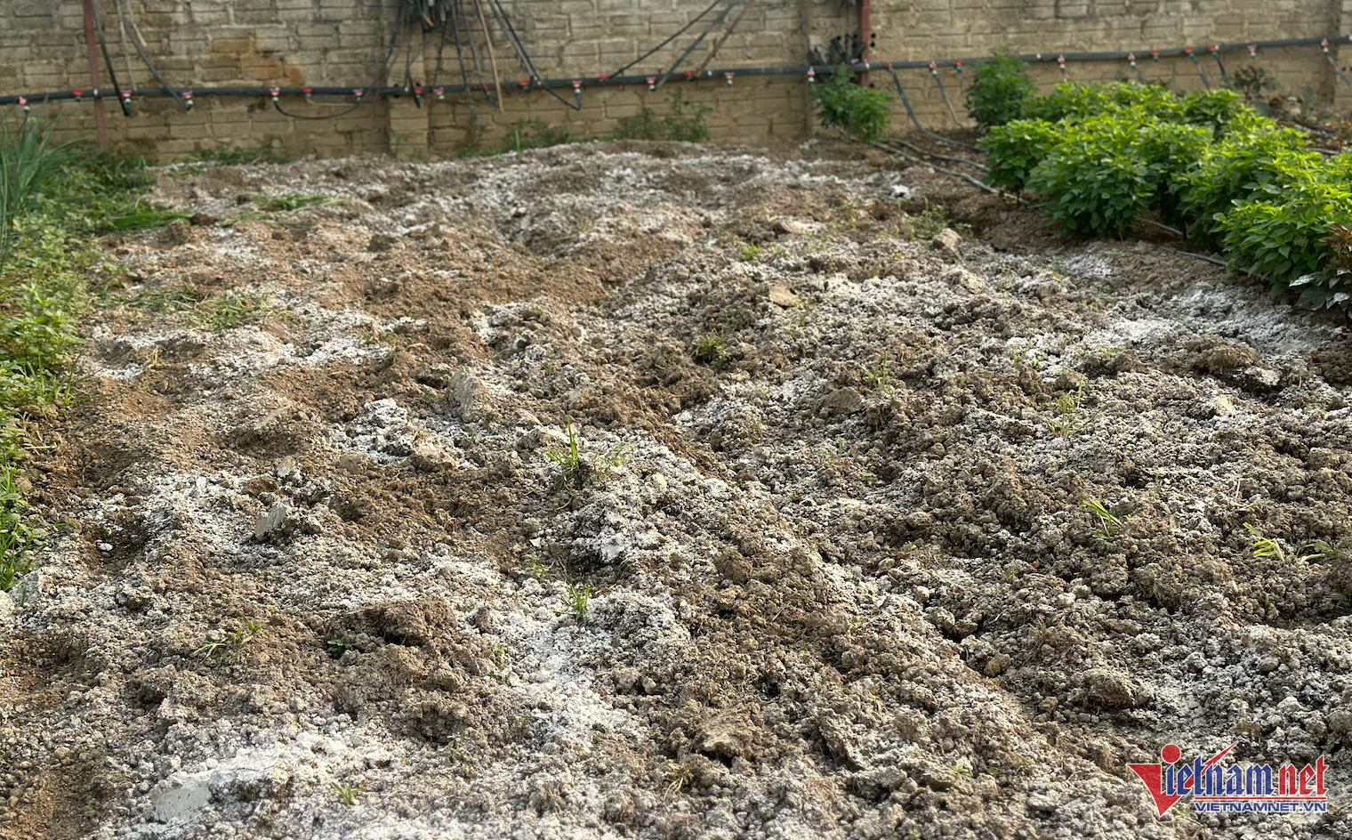 W-nông san nghe an.png