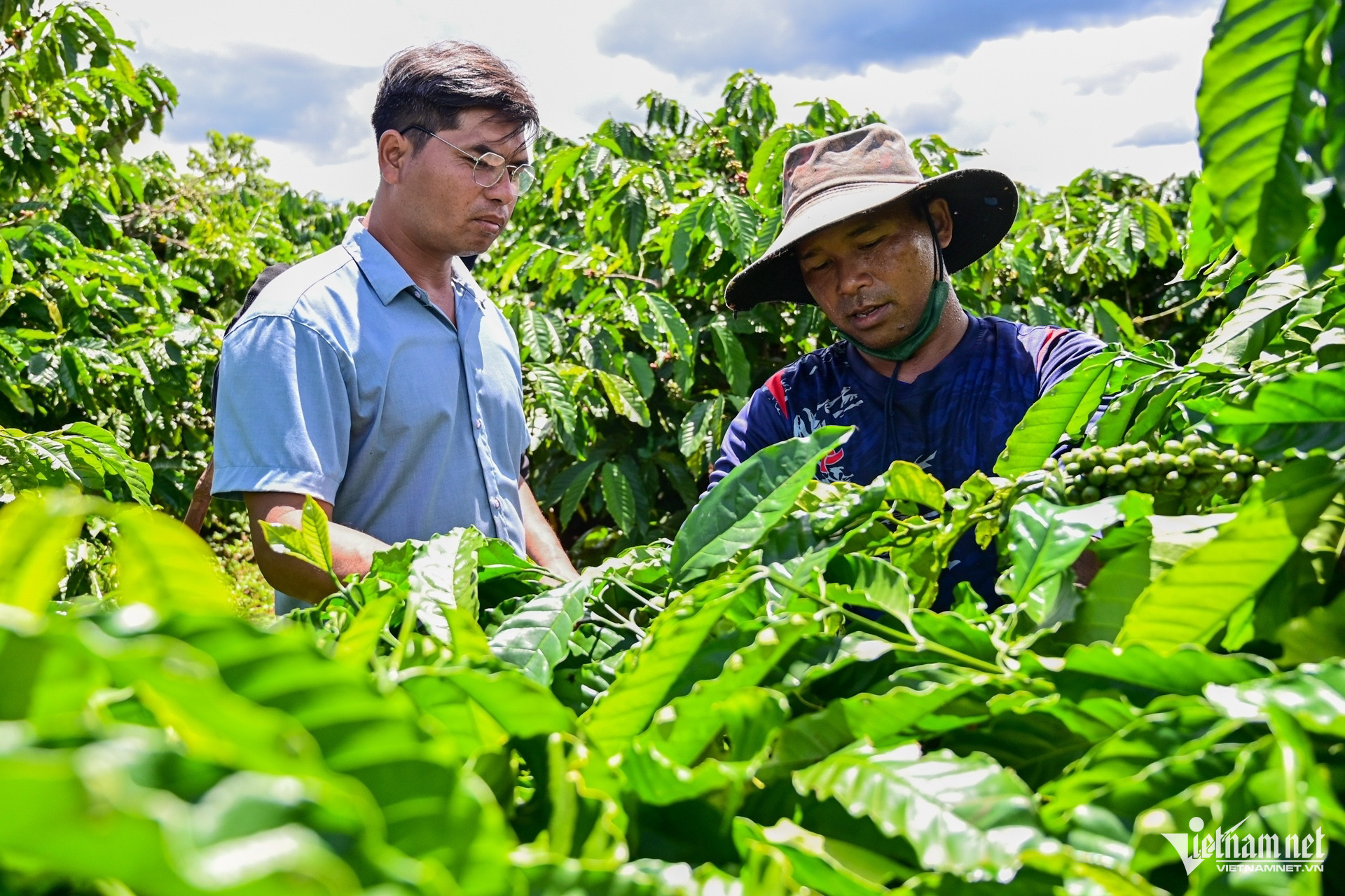 W-cà phê nguyễn huế 9219.jpg