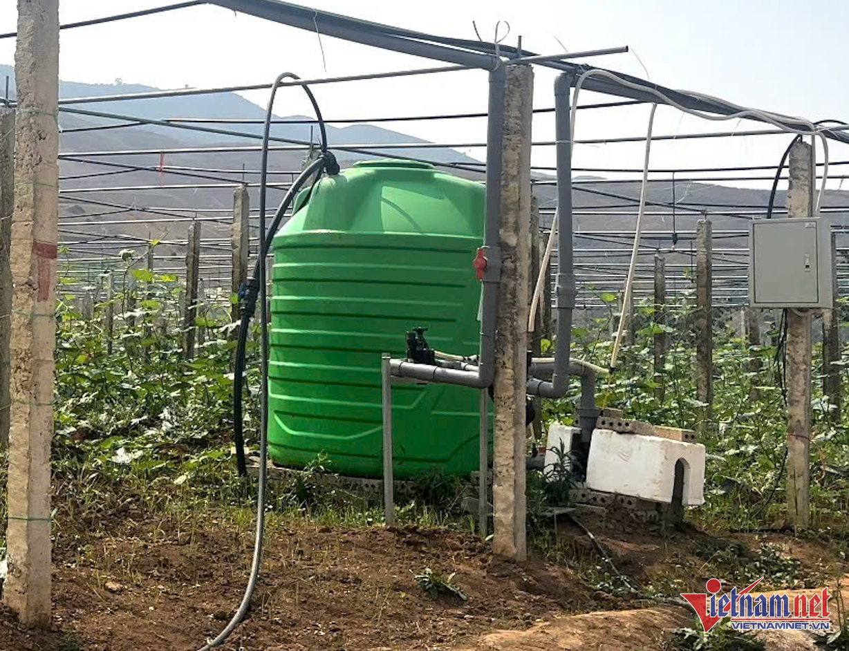 W-Congnghevinhlong nn.png