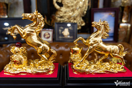 W-linh vật ngựa vàng TPHCM 3.jpg