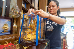 W-linh vật ngựa vàng TPHCM 6.jpg