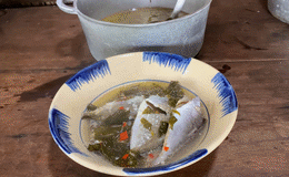 cá nâu nấu canh chua BomBom Vlog 0.gif.gif