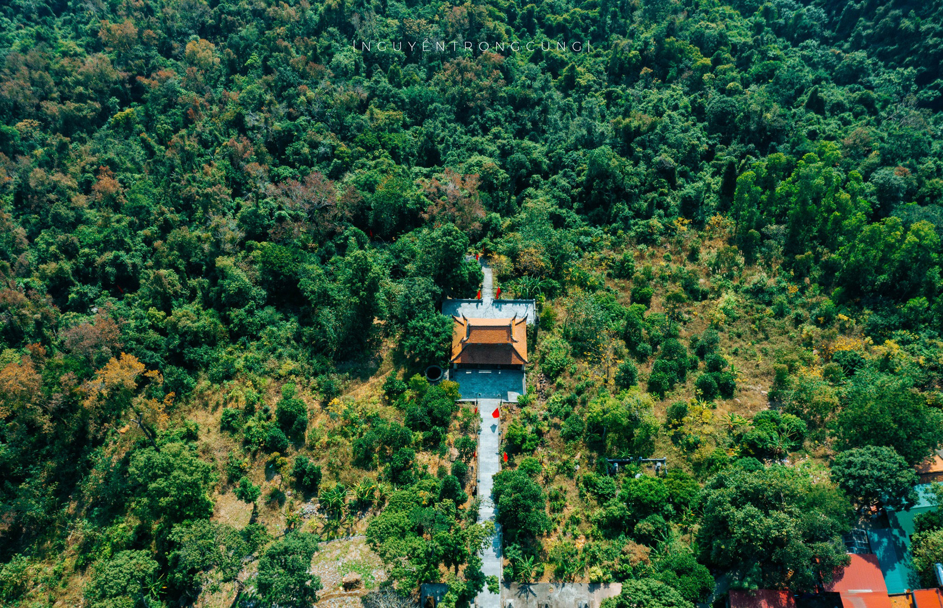 rừng phong hương Hải Dương 6.jpg