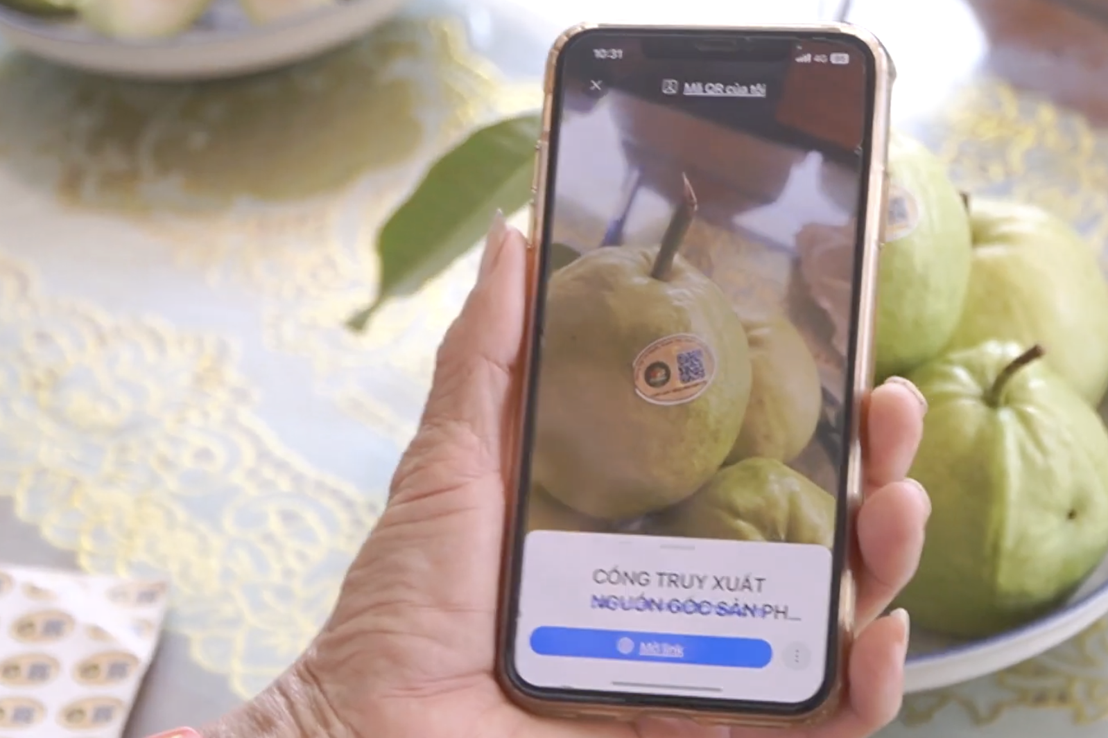 Mã số vùng trồng đưa nông sản Hưng Yên tham gia sâu vào chuỗi giá trị xuất khẩu