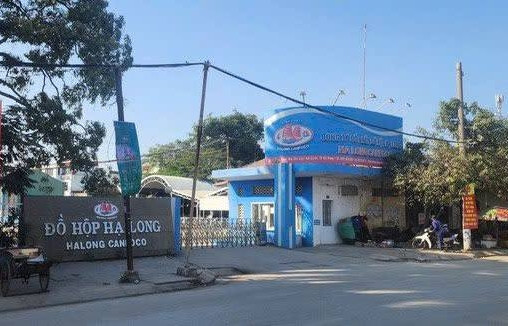 Một nữ cán bộ Sở NN&MT Hải Phòng ra đầu thú vì liên quan đến vụ Đồ hộp Hạ Long