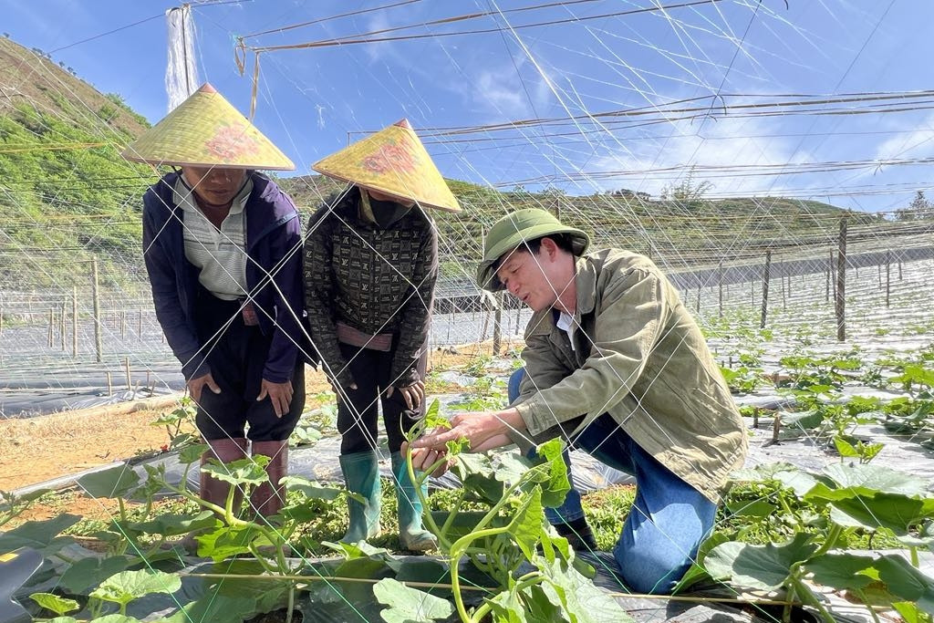 Ứng dụng công nghệ trong dự báo thị trường nông sản:Tạo đột phá với công thức 3P