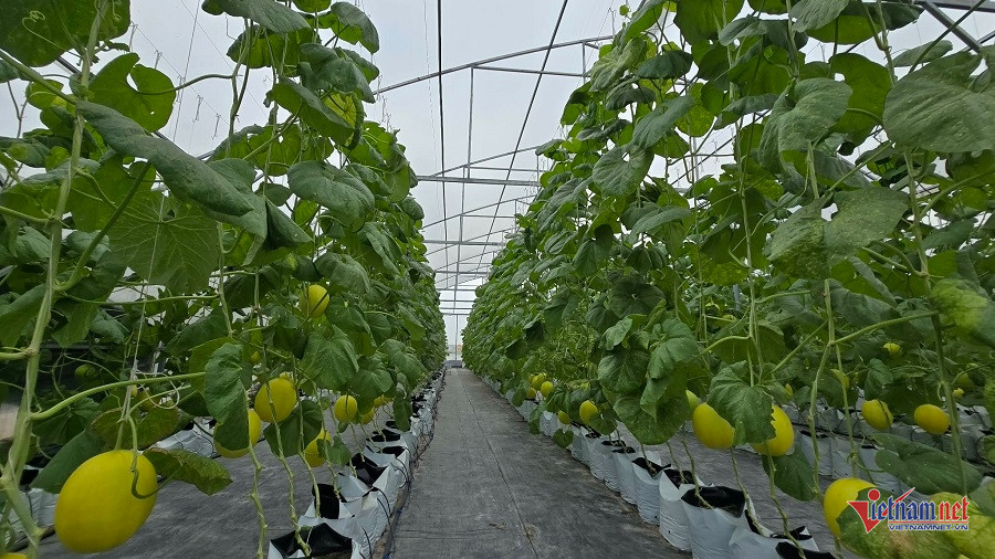 W-a9a8c57c 31ea 4457 ae5e cb4c21e2cd26.jpg