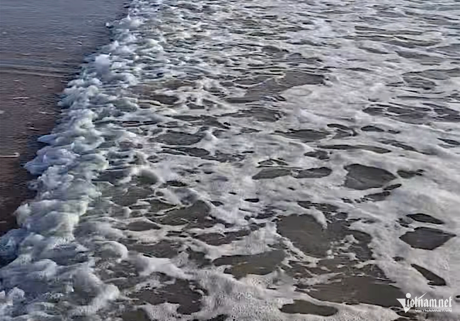 W-đại dương.png