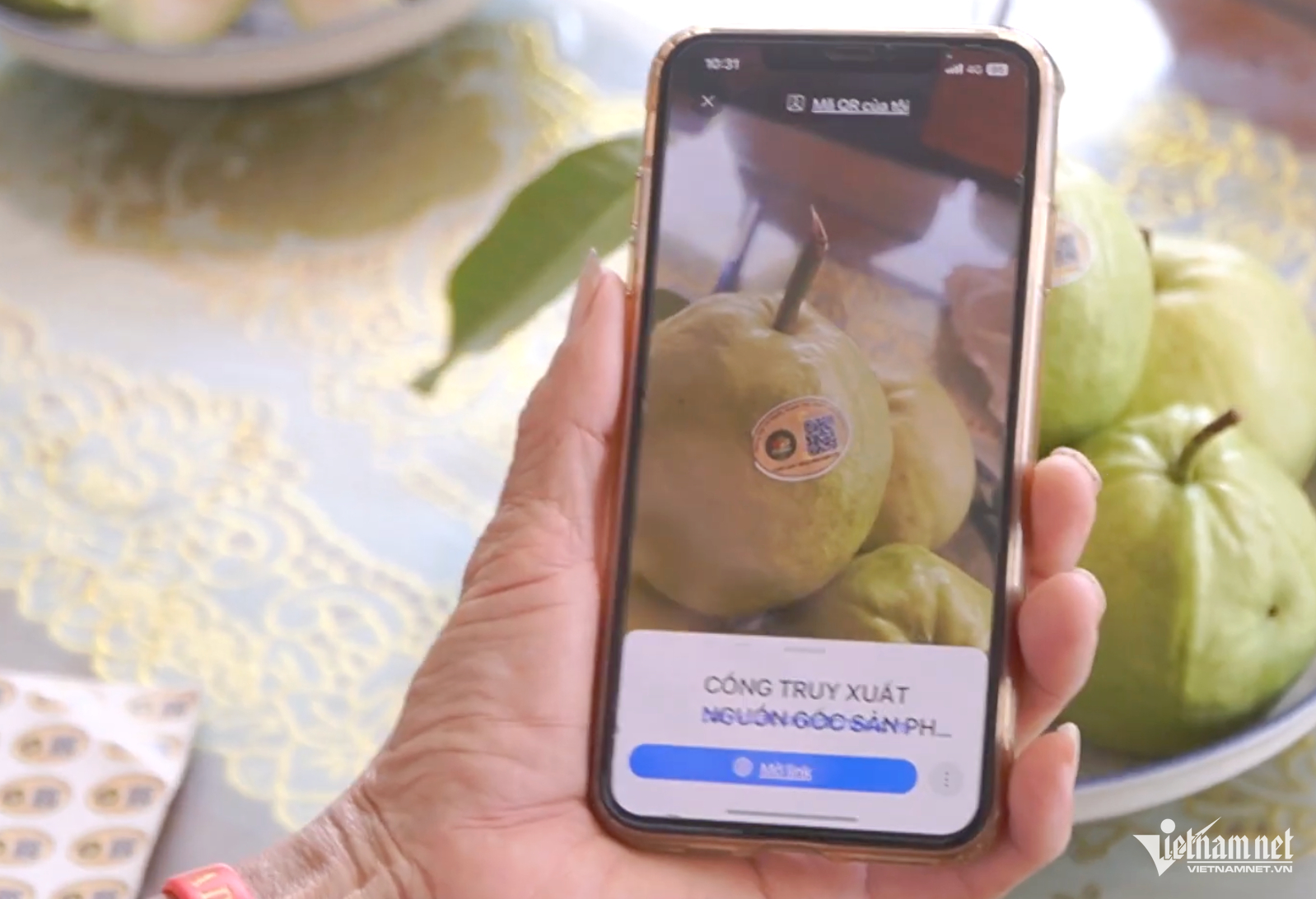 W-mã số vùng trồng.png