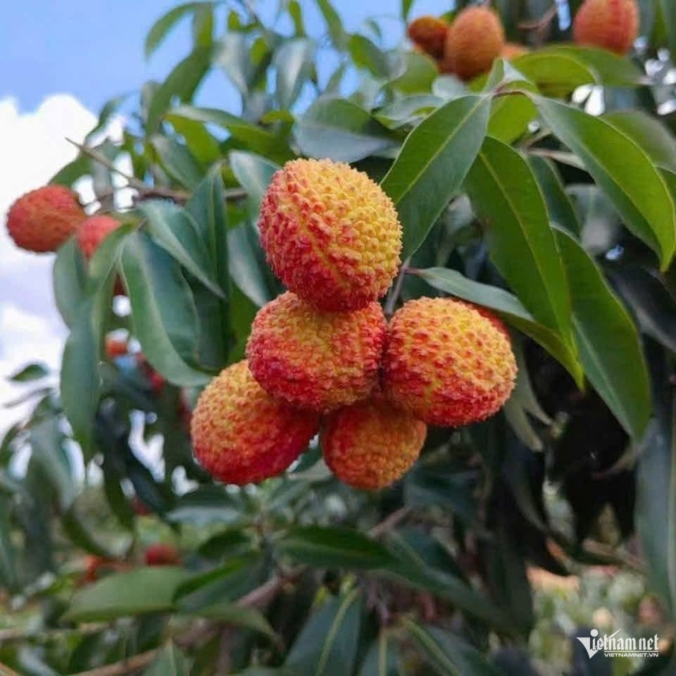 W-nông sản.JPG.jpg