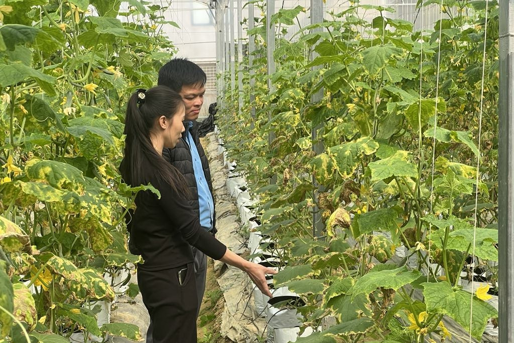 Xây dựng không gian dữ liệu cho nông sản để dự báo chính xác thị trường