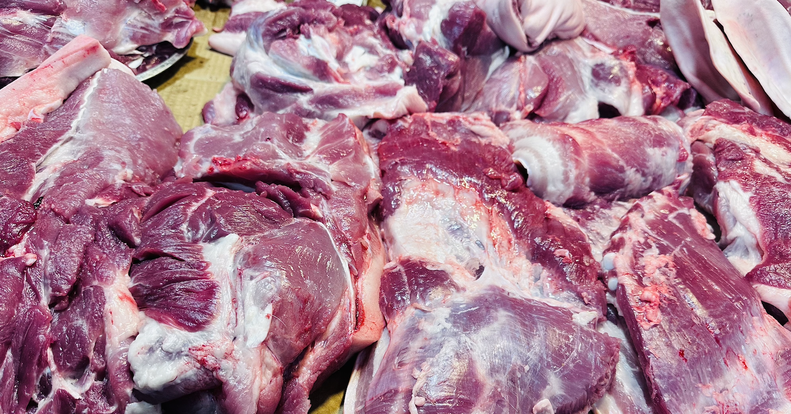 Cận Tết Bính Ngọ, giá lợn hơi cao chót vót