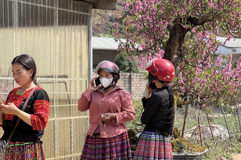 Còn hạn chế trong việc ứng dụng công nghệ để dự báo thị trường nông sản miền núi