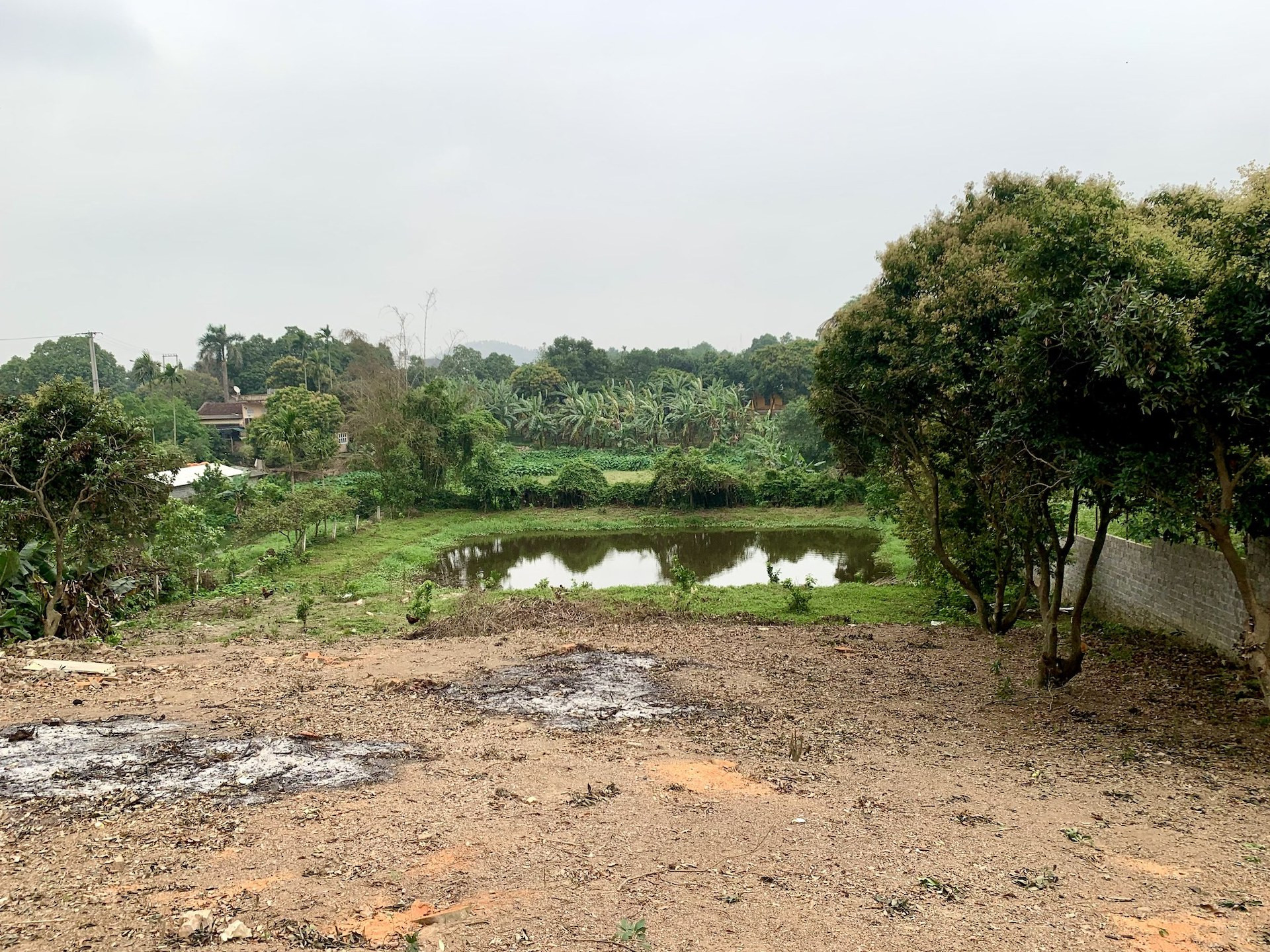 Nộp nửa tỷ chuyển đất lên thổ cư mà không được tách thửa, người dân xin hoàn tiền