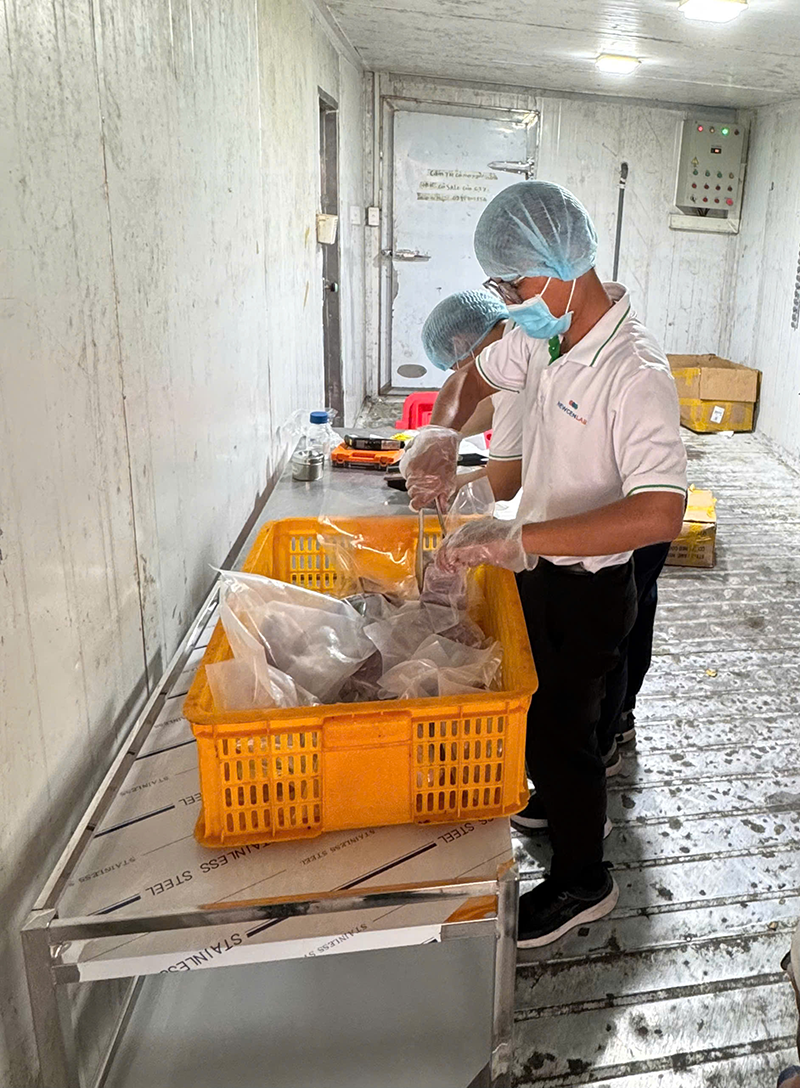 thit gia 5 thu mau san pham.png