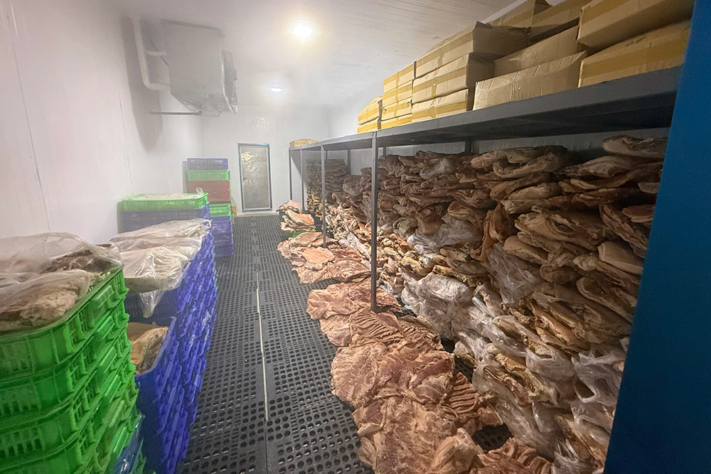 Triệt phá đường dây ‘phù phép’ thịt heo thành thịt đà điểu, nhím, nai quy mô lớn